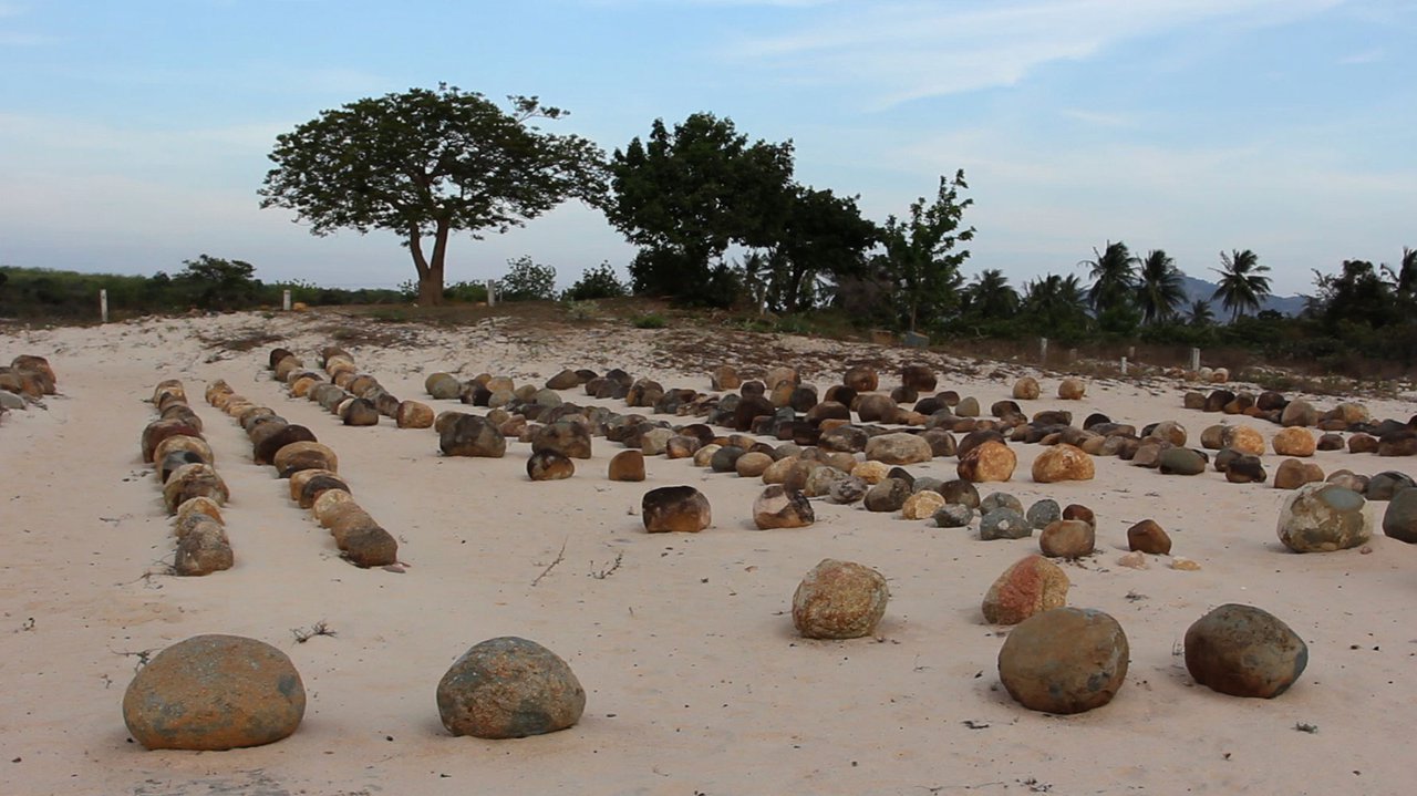 Nguyễn Trinh Thi participating 21st Sydney Biennale