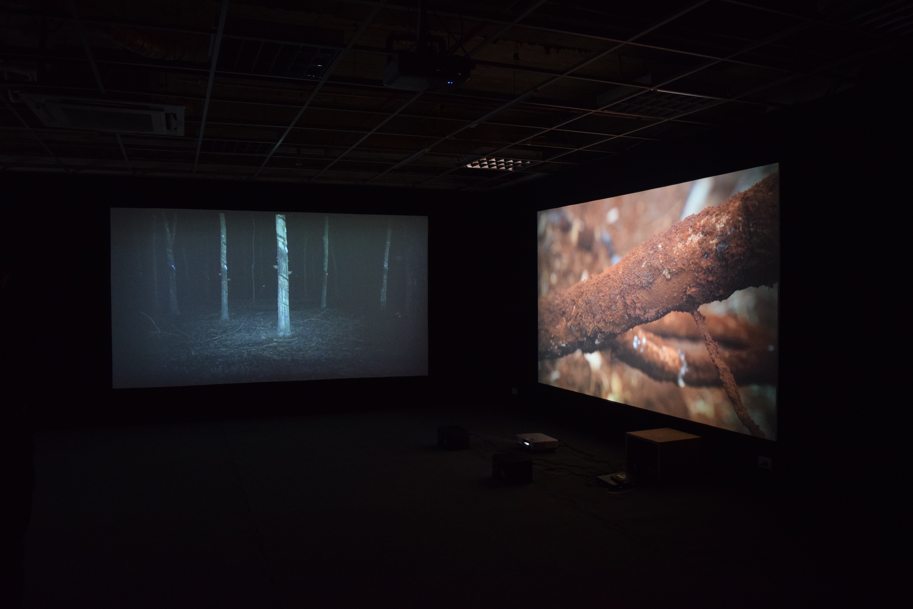 Black, Red and White<br> 
Video installation: 3 channels<br>
Nguyen Phuong Linh, 2015-16